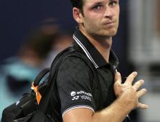 华体会体育- 蒂姆团队 